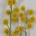 artificial flower wattle