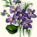 decal flower violets a