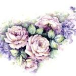 decal flower pale pink rose