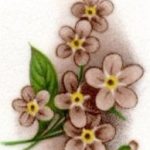 decal flowers pink small