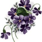 decal flower blue & white