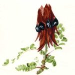 decal wildflower bouquet small