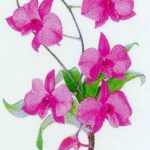 decal wildflower bouquet small